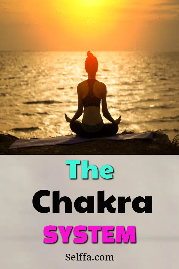 the chakra system