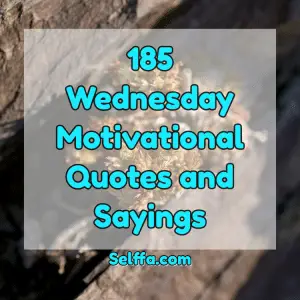 185 Wednesday Motivational Quotes and Sayings - SELFFA