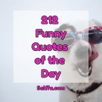 212 Funny Quotes of the Day - SELFFA