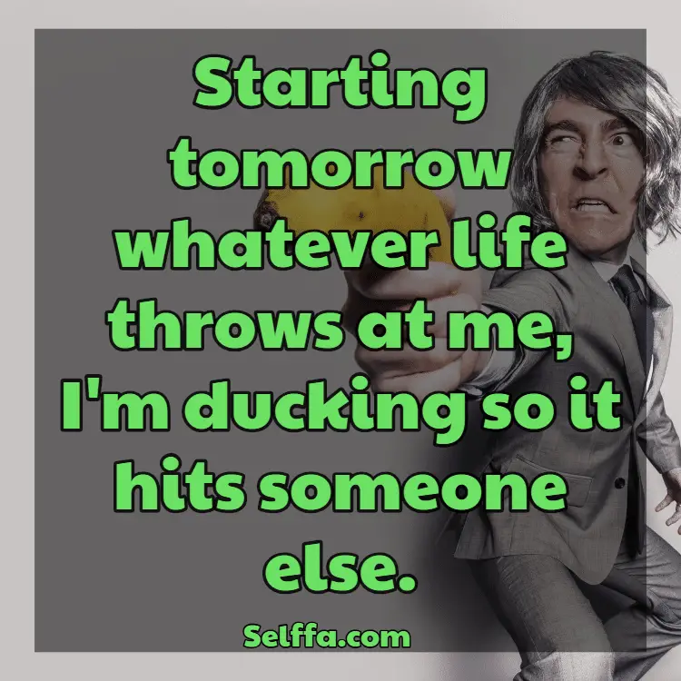 212 Funny Quotes of the Day SELFFA