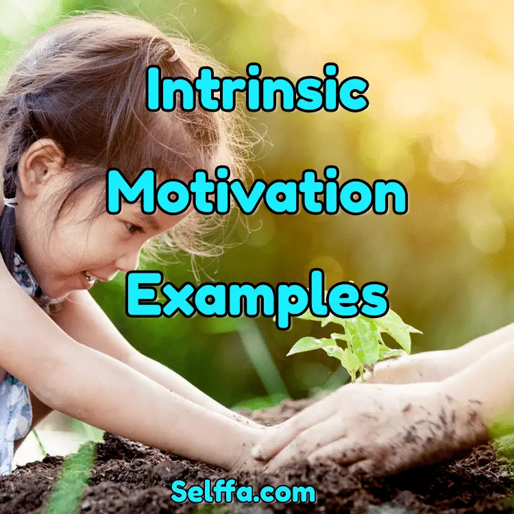 Intrinsic Motivation Examples