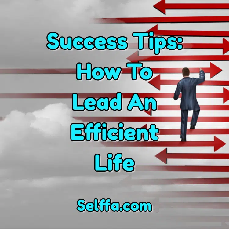 Success Tips How to Lead an Efficient Life