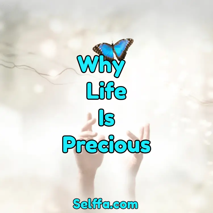 Why Life is Precious
