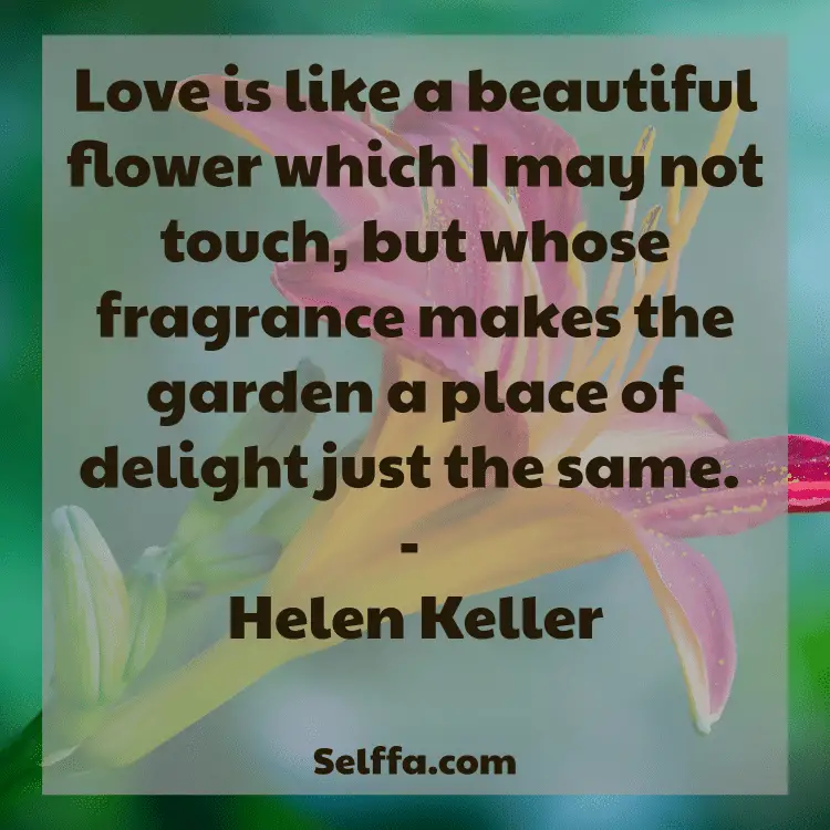 May Quotes