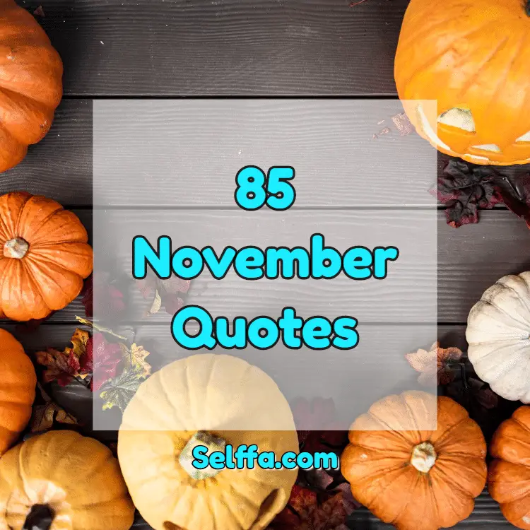 85 November Quotes and Sayings - SELFFA