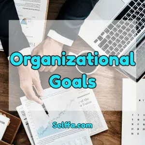 Organizational Goals: Examples And Tips To Achieve Them - SELFFA