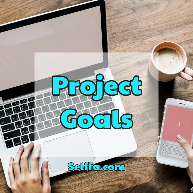 Project Goals