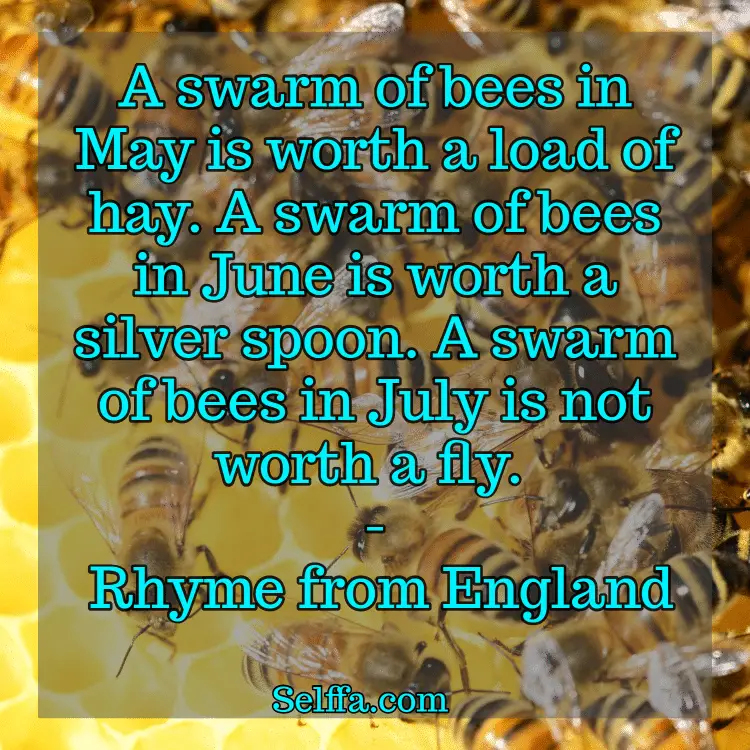 May Quotes