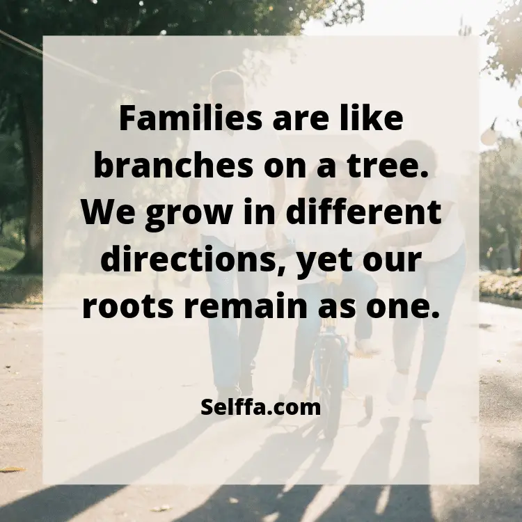 Inspirational family Quotes