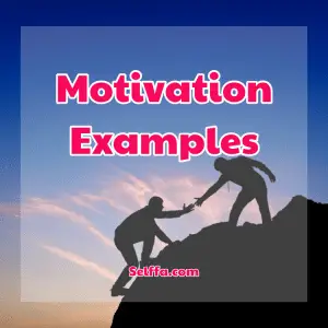 Motivation Examples - SELFFA