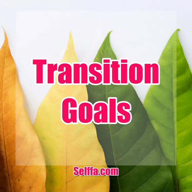 Transition Goals