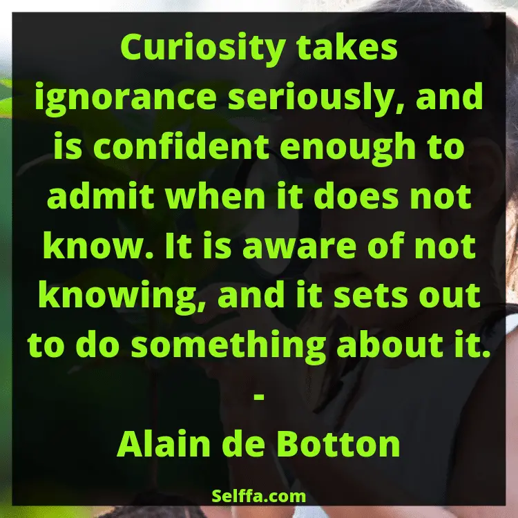 Curiosity Quotes