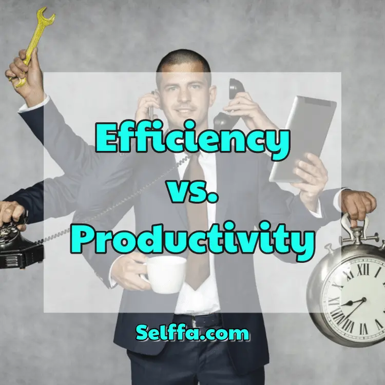 Efficiency vs. Productivity