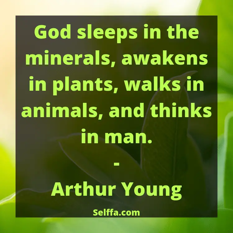God Quotes