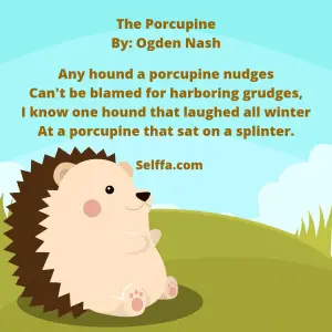 40 Funny Poems for Kids - SELFFA