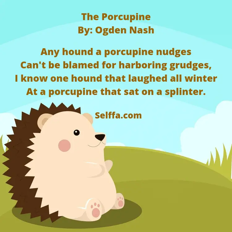 40 Funny Poems for Kids - SELFFA