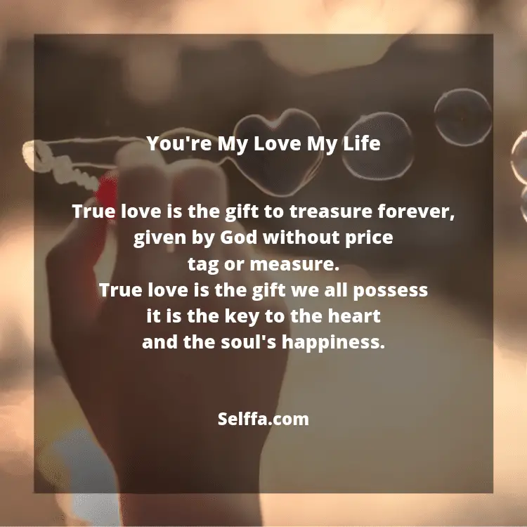 25 Love Of My Life Poems Selffa