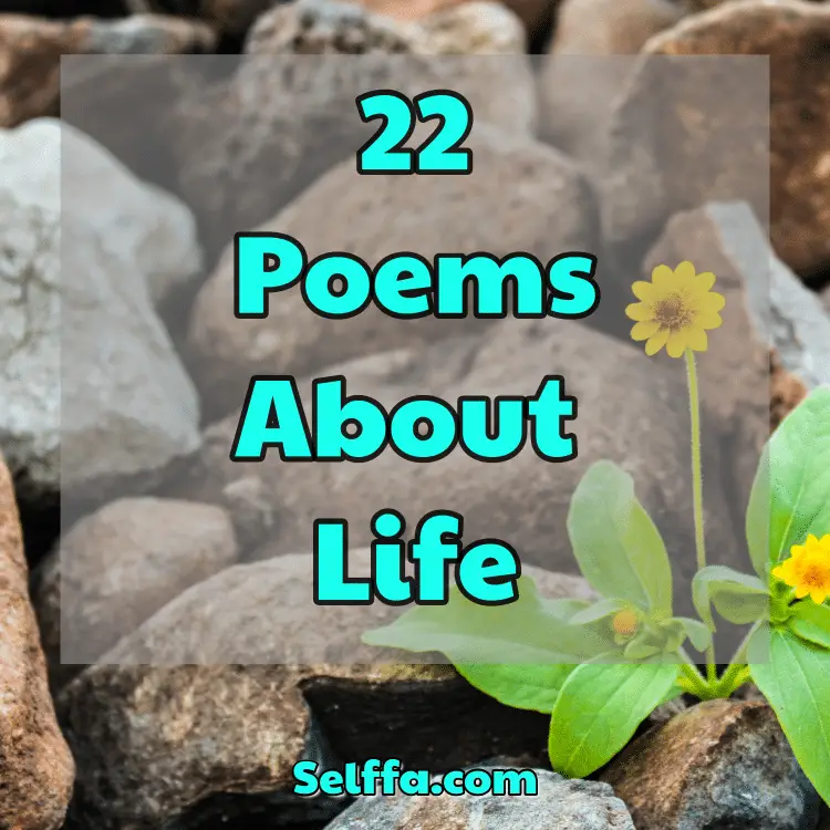 Poems About Life