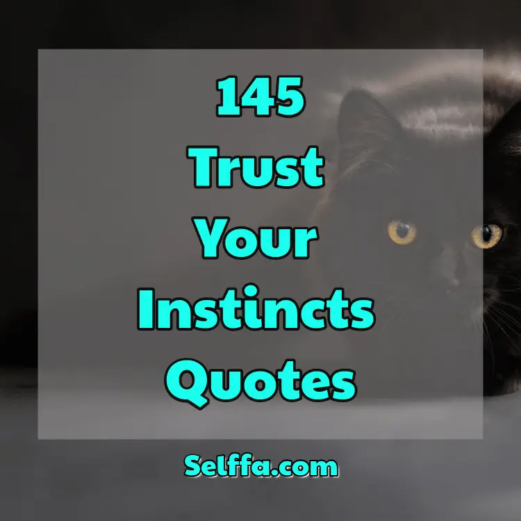 trust your instinct quotes