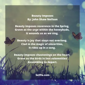 27 Beauty Poems - SELFFA