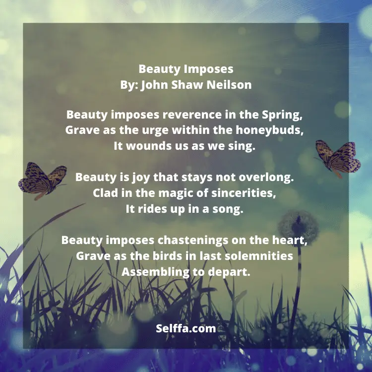 27 Beauty Poems SELFFA