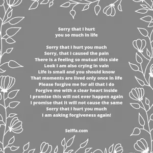 28 I'm Sorry Poems - SELFFA