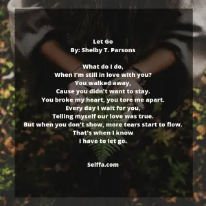 24 Poems About Moving On - SELFFA