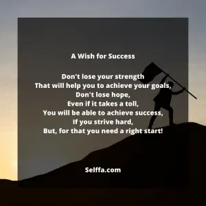 29 Success Poems - SELFFA