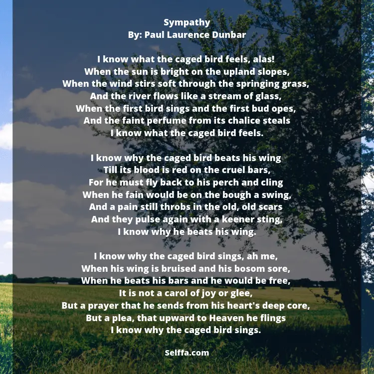 33-sympathy-poems-selffa