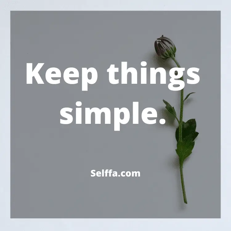 Simplicity Quotes