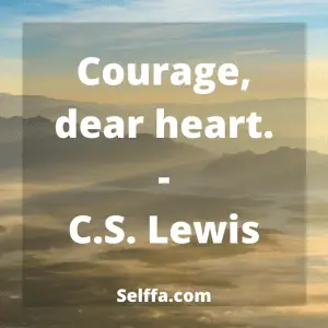 340 Short Quotes - SELFFA