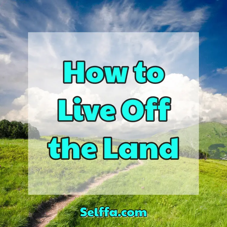 how-to-live-off-the-land-selffa