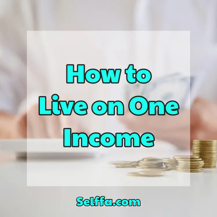 How to Live on One Income