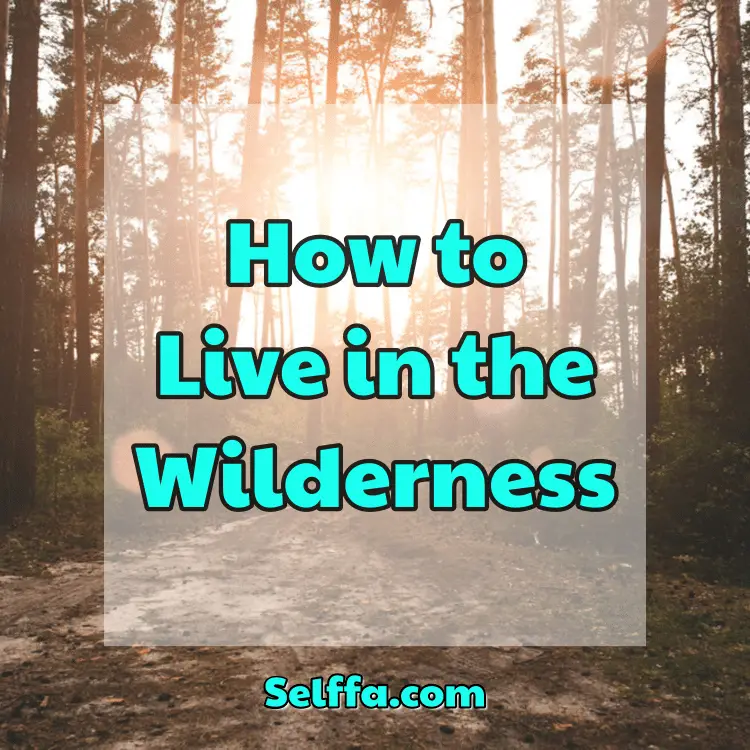 How to Live in the Wilderness
