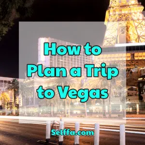 How to Plan a Trip to Vegas - SELFFA