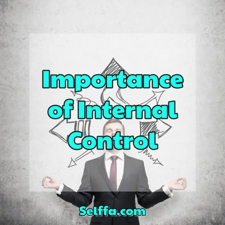 importance-of-internal-control-and-objectives-6-reasons