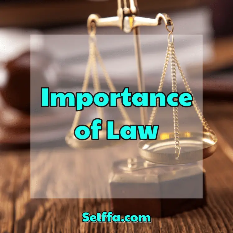 importance of law essay