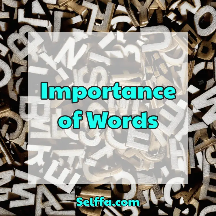 Importance of Words