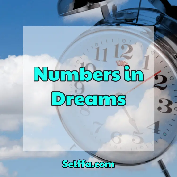 Numbers in Dreams
