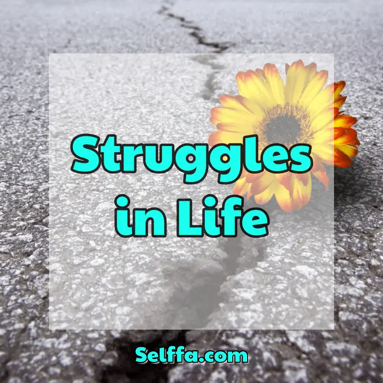Struggles in Life