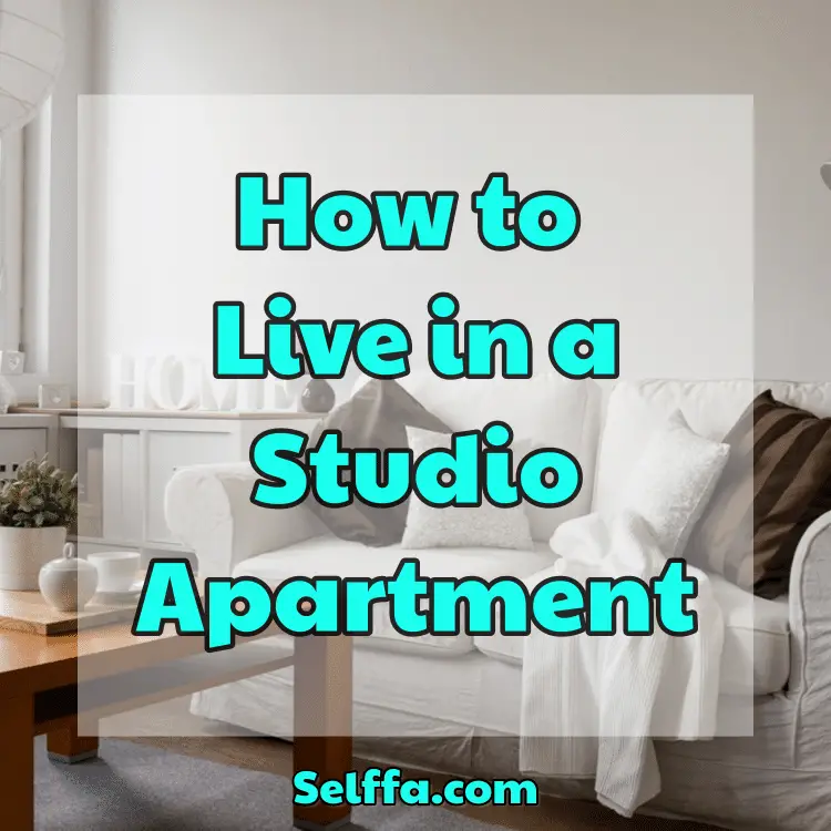 How to Live in a Studio Apartment