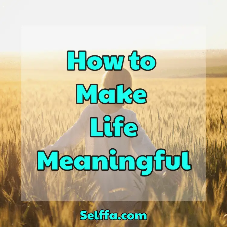 How to Make Life Meaningful
