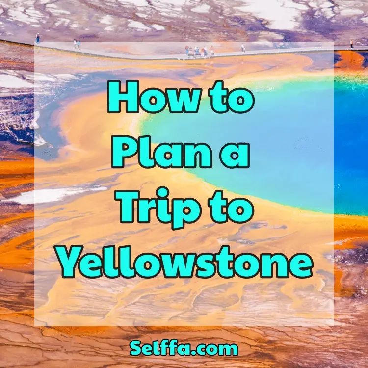 How to Plan a Trip to Yellowstone SELFFA